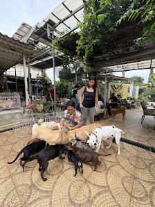 Tekelnya Jakarta & Dog Hotel Cibubur