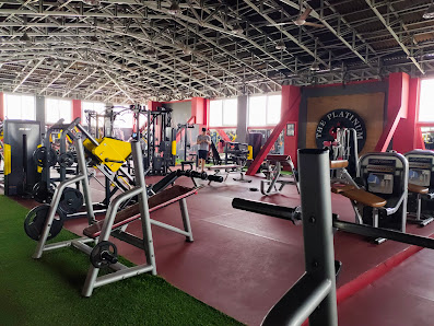 The Platinum Gym