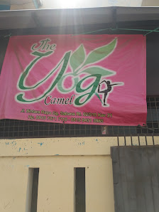 The yoga Camel