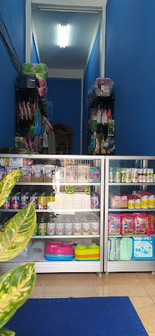 To The Star Petshop