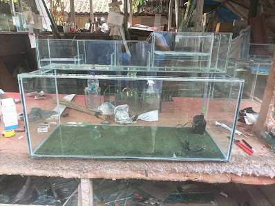 Tohir Aquarium