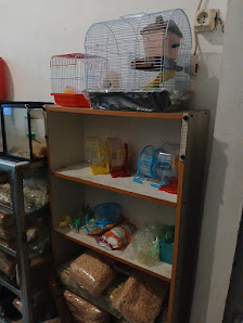 Toko Hamster Ciracas