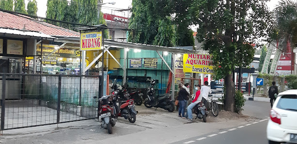 Toko Mutiara Aquarium