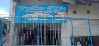 Tulip SPA