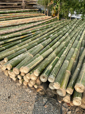 UD. RIZAL JAYA | Jual Bambu Steger, Dolken Kayu Gelam, Kaso, Triplek, Gedek Bambu, Kayu Reng, Papan, Balok, dll