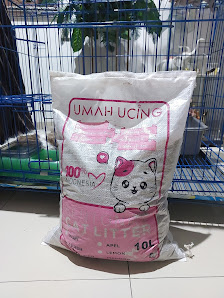 Umah Ucing Distributor Pasir Kucing