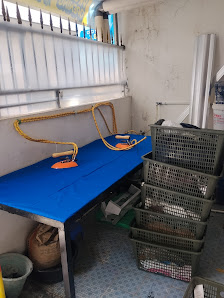 V Laundry Sunter Pengadilan Jakarta Utara