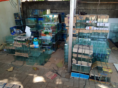 VIETRA AQUARIUM