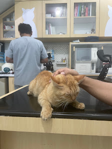 Vit Vet Petcare