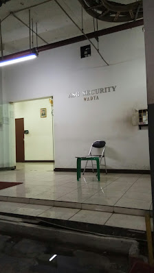 WADYA Security Service