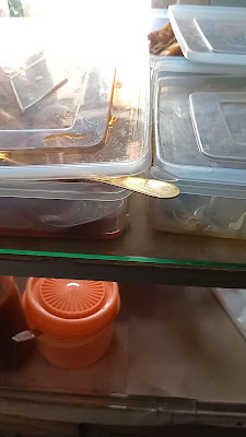 Warkop Teti