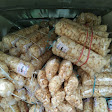 Warteg Idola