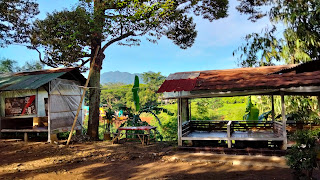 Warung Gawir