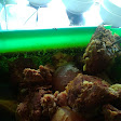 WARUNG MAKAN BU ANNA