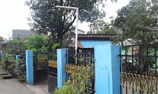 Weeding organizer