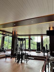 Wigym