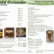 Wild Coriander Melaka