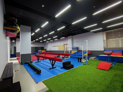 Wild Mild Dance & Gymnastic Studio
