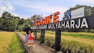 Wisata persawahan mulyaharja