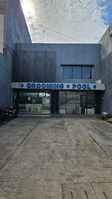 Woof Troop Pet Grooming Centre & Swimming Pool