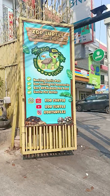 XDR TURTLE (Toko Reptil & Torto)