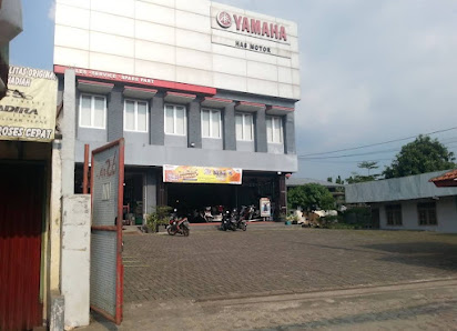 Yamaha HAS Motor
