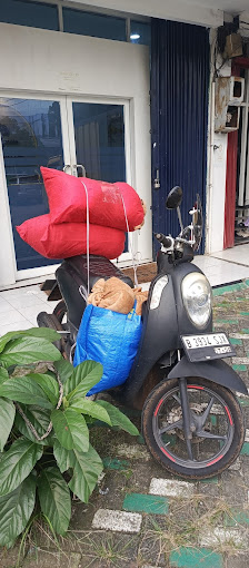 Zhi.Laundry